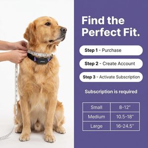 ปลอกคออัจฉริยะ PetPace Dog Health Monitor V3.0 พร้อมระบบติดตามสัญญาณชีพและอาการปวดตลอด 24 ชั่วโมงสำหรับสัตว์เลี้ยง - Product Image 3