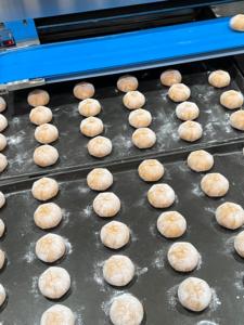 Le pulvérisateur de poudre JH-PFJ convient à la distribution de farine sur les patates douces - Product Image 4