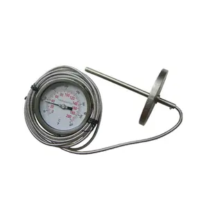 Industrie thermometer aus Edelstahl mit Kapillare
