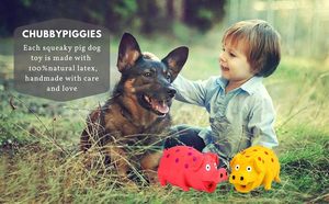 Juguetes para Perros con Sonido de Cerdo, Juguetes Masticables de Goma Resistentes con Sonidos de Gemidos y Ronquidos para Perros, Juguete Interactivo de Látex para Cachorros - Product Image 6