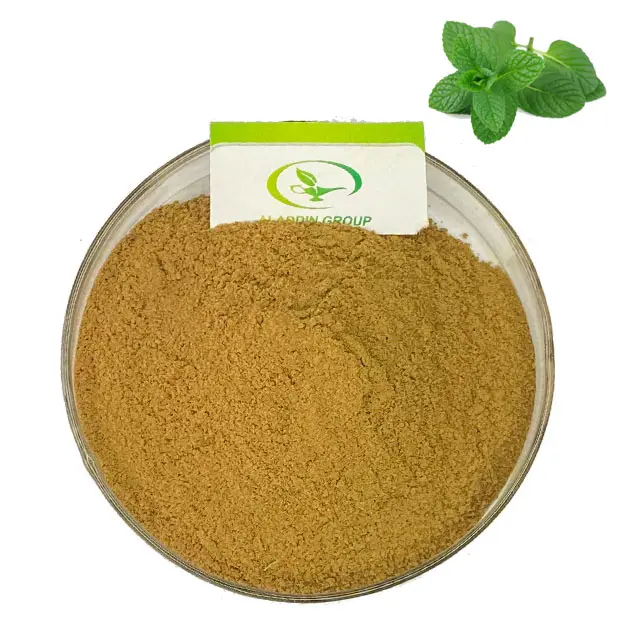 HALAL best price high quality mint extract mint powder extract peppermint extract