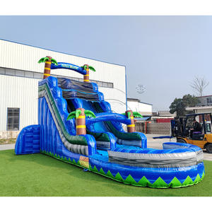 Toboggan aquatique gonflable commercial en PVC durable, toboggan aquatique tropical coloré en forme de palmier avec base de piscine - Product Image 1