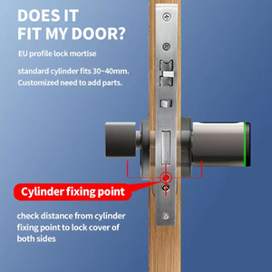 Trung Quốc Sản Xuất Cao An Ninh Chống Trộm Tuya Cuộc Sống Nhà Sinh Trắc Học Điện Tử Vân Tay Thông Minh Khóa Cửa - Product Image 3