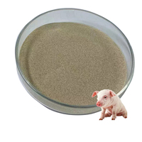 Poudre de Bacillus Subtilis Sp. K18 Funmicro, souches non biotechnologiques, probiotique pour volailles, qualité alimentaire animale
