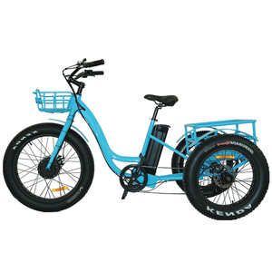 Tricycle électrique tout-terrain puissant 48V 500W avec pneus larges de 24 pouces - Product Image 2