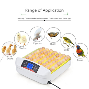 Mini incubateur d'œufs de poulet automatique yz 56s, 4 pièces, lumière LED à haute fréquence d'éclosion - Product Image 1