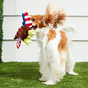El mejor juguete de peluche para mascotas con voz de águila americana ecológica, juguete para perros, mordedura, superventas transfronterizo de Bark Box - Product Image 3
