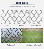 Clôture en treillis soudé PVC anti-corrosion pour l'agriculture, le développement immobiliaire et les projets résidentiels – Vente en gros