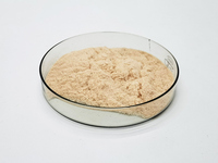 Insen Supply Suppléments nutritionnels de qualité supérieure Lactoferrin 95% Powder