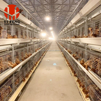 Cage à poulets de chair de type H, cage à batterie automatique pour poulets de chair, 3 niveaux, abreuvoir à tétine, système d'évacuation du fumier au sol, en acier galvanisé