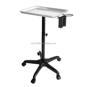 थोक विक्रेताओं की उच्च गुणवत्ता वाले धातु धारक रोलिंग ब्यूटी स्पा ट्रे कार हेयर सैलून ट्रॉली - Product Image 5