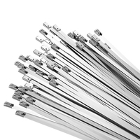 Serre-câbles en acier inoxydable 304 et 316, autobloquants, 100 pièces/sac, serre-câbles en nylon à tête fixe, type boulon autobloquant, 100 mm