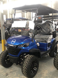 Carrito de Golf HKBG de Nuevo Diseño Azul para 4 Personas con Tracción en las Cuatro Ruedas, Alta Calidad, Velocidad de 30 km/h, Capacidad de Subida del 20% - Product Image 4