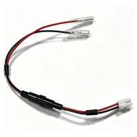 Rangkaian Kabel Fuse Holder 2 Pin Custom UL1007 18AWG dengan Konektor JST, Terminal Spade Piggyback, dan Kabel Daya Otomatis