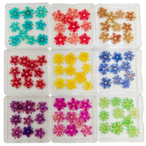 Vente flash Fleurs séchées originales pour l'art des ongles Fleurs séchées pressées pour l'artisanat en résine Vraies fleurs pour les ongles - Product Image 1
