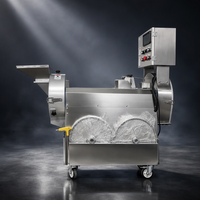 Multifunctionele fruit- en groentesnijmachine, commercieel, dubbele messen, milieuvriendelijk, snijden, diceren, raspen, schaven