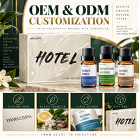 Huile parfumée personnalisée pour diffuseur de voiture, huile de parfum longue durée pour voiture, désodorisant d'air pour voiture, approvisionnement en gros, coffret cadeau d'arômes inspirés des hôtels