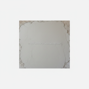 Reparación de mortero para superficies de hormigón, antes de impermeabilización, cerámica, azulejos, etc., aplicaciones - Product Image 2
