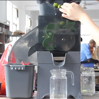Presse-agrumes automatique commercial pour oranges, citrons et limes – Machine à jus pressé à froid pour restaurants et bars à jus