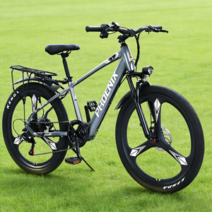 Factory Bestseller Bike 350W 48V Lithium High Load Capacity White Premium Stylish Mountain E-Bike Brushless Motor F1 7-Speed Gea - Product Image 5