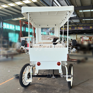 Carruaje de Caballos Vintage Personalizado de 2 Filas, Carrozas Turísticas de Diseño Personalizado, Carruaje Eléctrico Tirado por Caballos - Product Image 5