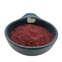 Poudre d'extrait de racine de betterave de haute qualité 20:1 et supplément de capsules et de gommes de racine de betterave en vrac pour la vente en gros