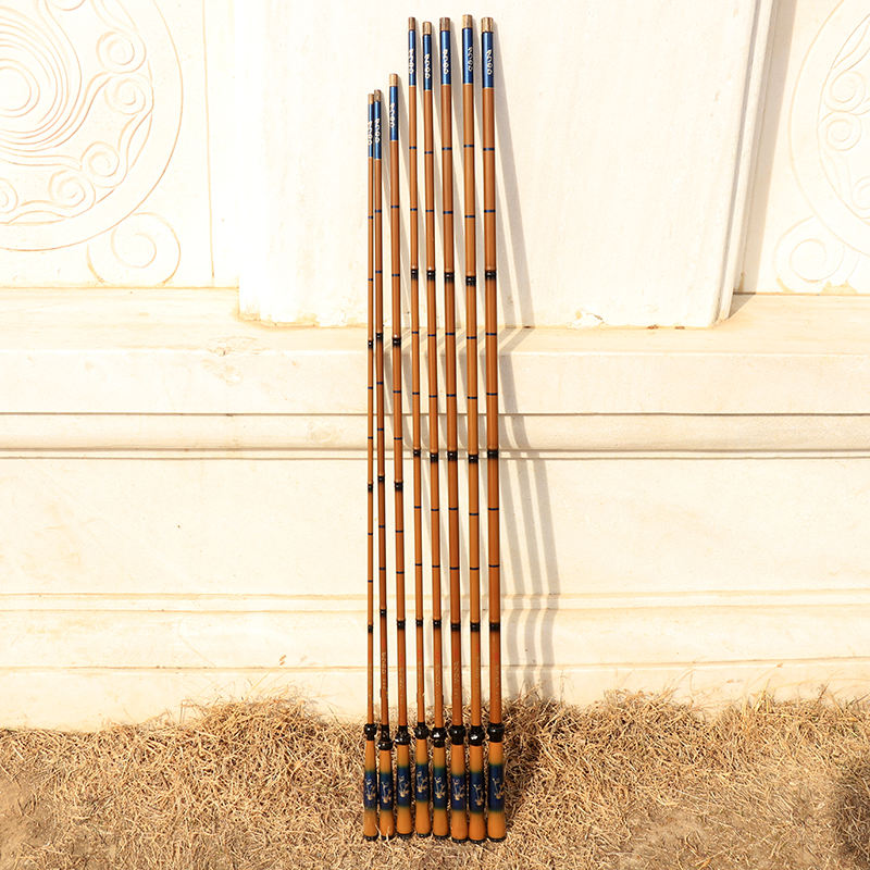 Haute teneur en carbone inverse soie 19 mixte crucian carpe pôle