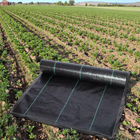 Rouleau de couverture de sol en tissu paysager Anti-Weed Grass Plastic Mesh Control Weed Mat