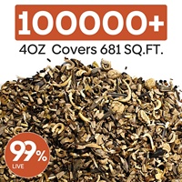 26-Mix annuel vivace sauvage fleur jardin sac de truie paquet plante Kit attirer les papillons oiseaux abeilles avec des fleurs en vrac