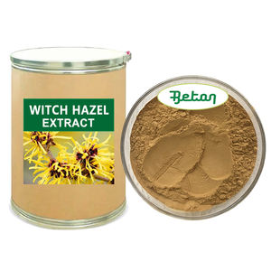 Оптовая продажа натурального экстракта гамамелиса (Hamamelis Virginiana) в порошке, концентрация 10:1 и 20:1 - Product Image 1