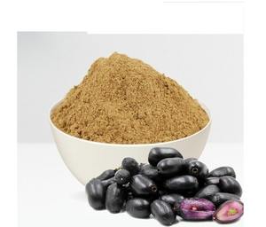 Polvo de Jamun Natural de Alta Demanda para Suplementos Herbales, Formulaciones Ayurvédicas y Aplicaciones Nutricionales, Disponible en Oferta - Product Image 3
