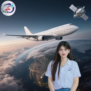 Transitaire pas cher Chine États-Unis/Mexique/Royaume-Uni/Europe/Afrique du Sud DDP/DDU Porte à porte Air+Express Marchandises dangereuses spéciales - Product Image 3