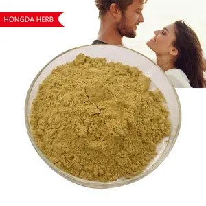HONGDA Factory 1% 10% Tongkat Ali Extrakt Eury comanon Supplement Tongkat Ali Wurzel extrakt Pulver