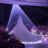 Projecteur laser couleur pleine puissance SP 30kpps 15W avec contrôle DMX512 pour mariage, scène DJ, discothèque, fête
