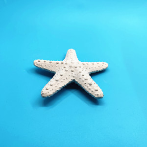 Artesanía en Resina, <span class=keywords><strong>Coral</strong></span> Blanco, Estrella de <span class=keywords><strong>Mar</strong></span> Hecha a Mano y Pintada a Mano, Figura en Forma de Estrella de 16x16x4cm para Decoración <span class=keywords><strong>del</strong></span> Hogar - Product Image 3