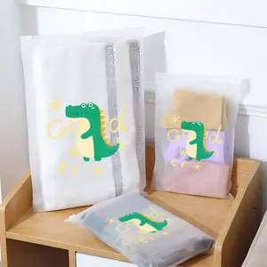 Custom Logo Printing Moisture Proof Poly Zip Transparent Slide Zipper PE Frosted Clear Clothing T-shirt Plastic Package Bag