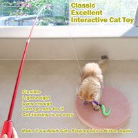 Violet bleu rétractable drôle jouets pour animaux de compagnie interactif intérieur poulet plume chat jeu baguette en plastique bois bâton tige fée Teaser
