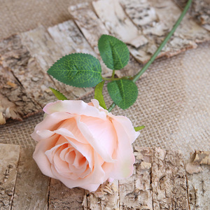 Rosa Preservada al por Mayor en Globo Bobo, Flor Artificial de Alta Calidad - Product Image 5