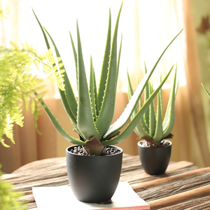 Planta falsa <span class=keywords><strong>de</strong></span> precio barato al por mayor <span class=keywords><strong>de</strong></span> alta simulación <span class=keywords><strong>de</strong></span> 45cm <span class=keywords><strong>de</strong></span> altura, planta suculenta <span class=keywords><strong>de</strong></span> aloe <span class=keywords><strong>vera</strong></span> artificial verde en maceta para decoración del hogar - Product Image 6