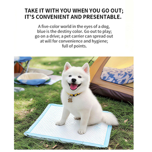 Kuru bakım toptan özel tek kullanımlık su geçirmez 3-Ply köpek köpek tuvalet pedi süper emici hemşirelik yavru Pet Mat hastane yatağı çarşafı - Product Image 3