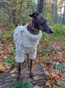 Qiqu-suéter de lana para perros, ropa personalizada de nuevo diseñador, suéter de lana elegante, Mono para perro grande <span class=keywords><strong>italiano</strong></span>, <span class=keywords><strong>galgo</strong></span> - Product Image 2