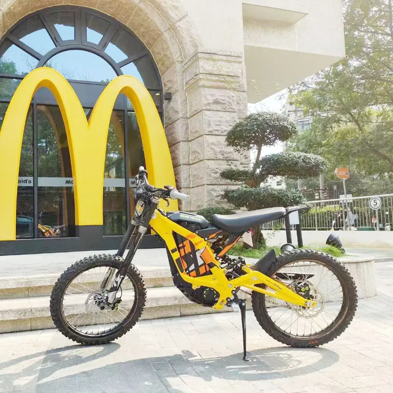 Light Bee X Adult Off Road Pit Bike Electrica E-bike Bicycle Electric Motorcycle With Pedal