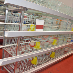 Jaulas de pollos de engorde de Ventilación ajustable de varios niveles para mansiones orgánicas pequeñas Antibacteriano Inodoro Garantizar la calidad de pollos de engorde Premium - Product Image 1