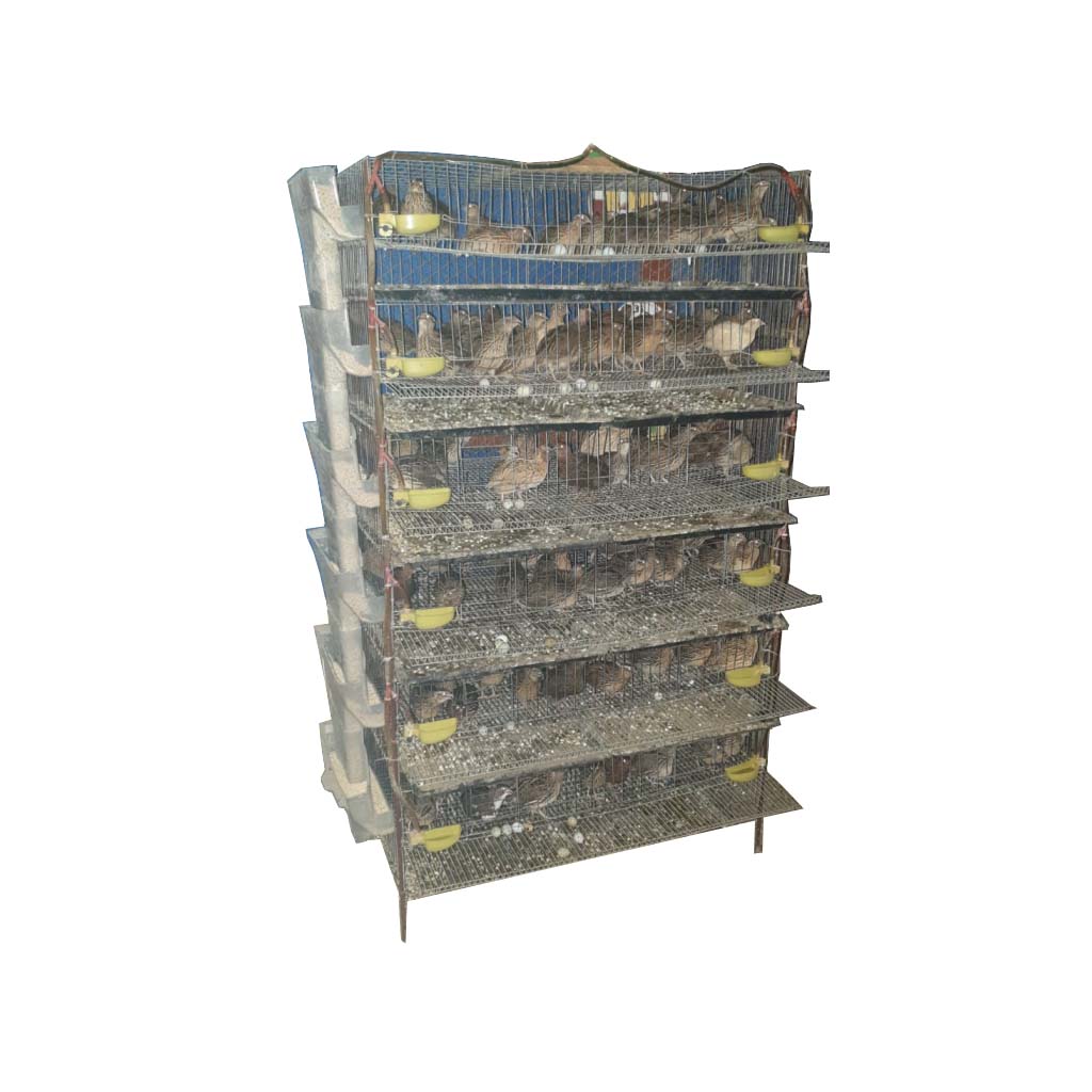 clearance bird cages