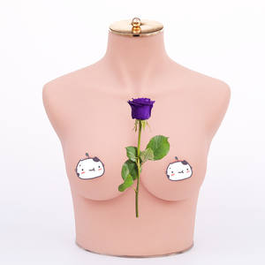 หุ่นจำลองท่อนบนสตรีทำจากซิลิโคนเสมือนจริงสำหรับวิทยาศาสตร์การแพทย์ แบบครึ่งตัวสำหรับใส่เสื้อชั้นใน ขนาด 75B/C - Product Image 5