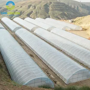 Película plástica de invernadero Multi Span para sistema hidropónico Marco galvanizado agrícola Invernadero de policarbonato