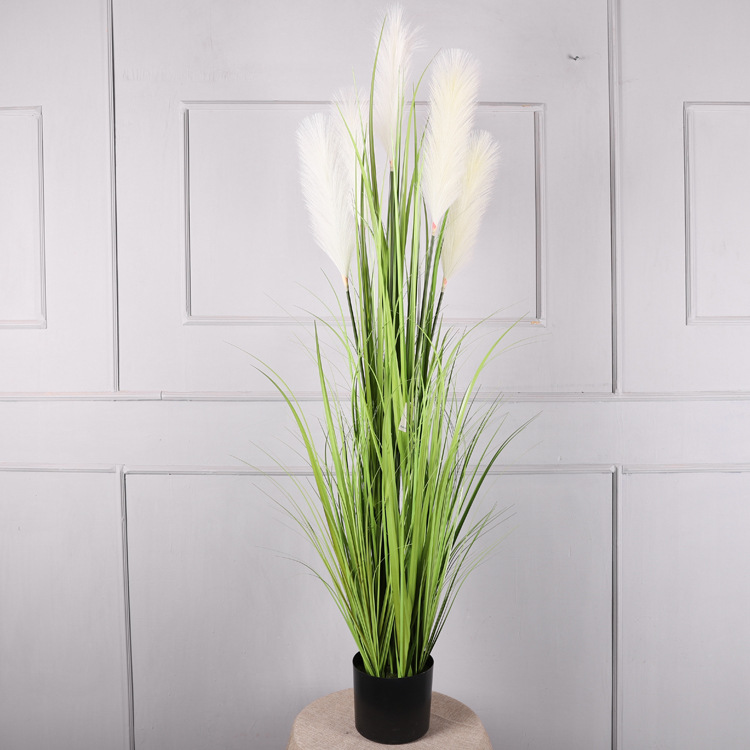 Bonsái de caña de 1,5 metros, blanco lechoso