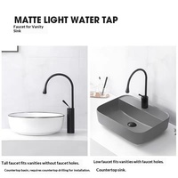 Robinet de lavabo moderne simple en acier inoxydable à poignée unique rotative pour eau chaude et froide