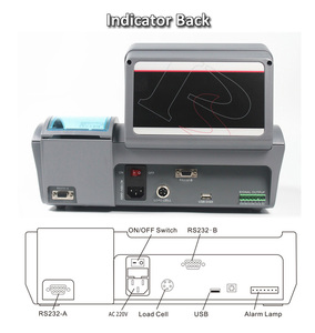 RS232 U Disk Memory SPC Digital EXCEL Counting Weighing <strong>Scale</strong> Indicator With Sticky Label Printer <strong>WIFI</strong> - Product Image 5