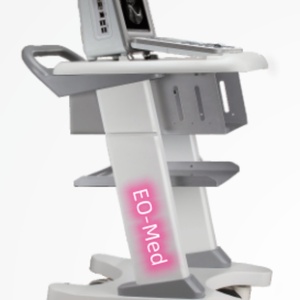 Appareil d'échographie chinois BW21B, scanner d'échographie vétérinaire portable noir et blanc - Product Image 3